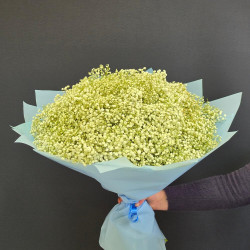 Букет из 51 белой гипсофилы